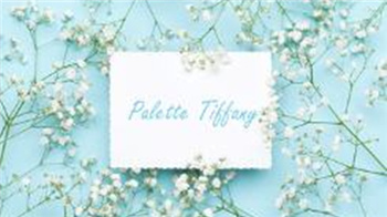 Palette Tiffany在哪里下载 Palette Tiffany下载地址分享